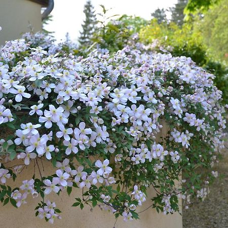 Le Clos Fleuri Bed & Breakfast Giverny Bagian luar foto