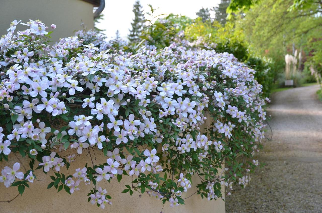 Le Clos Fleuri Bed & Breakfast Giverny Bagian luar foto